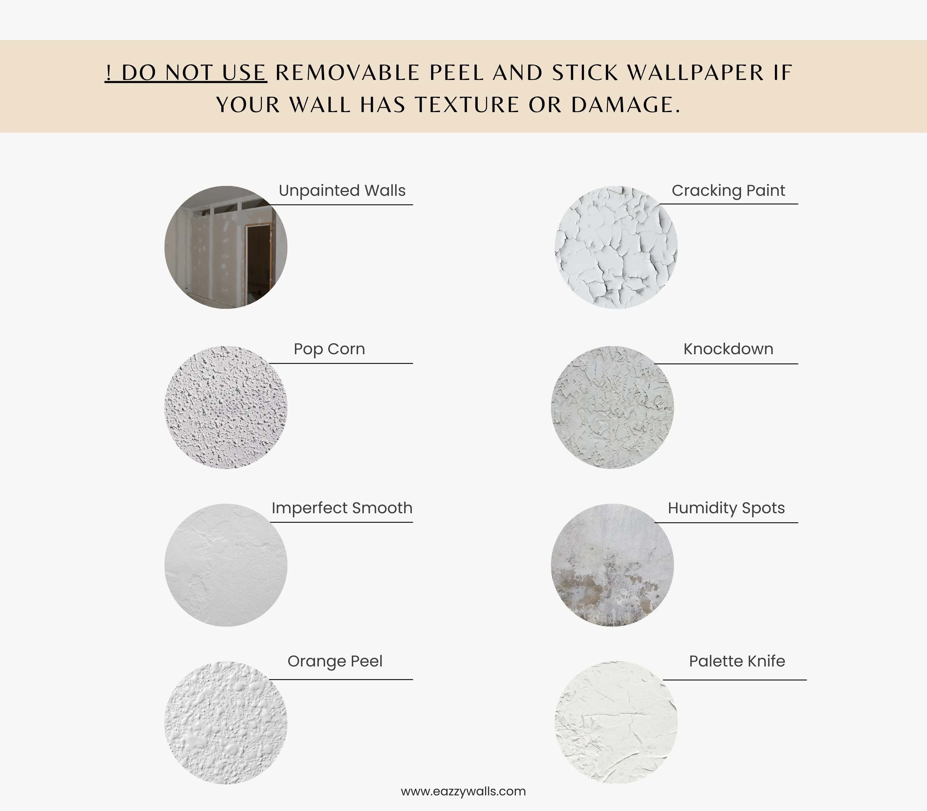 Fan Palm Wallpaper | Tropical Elegance