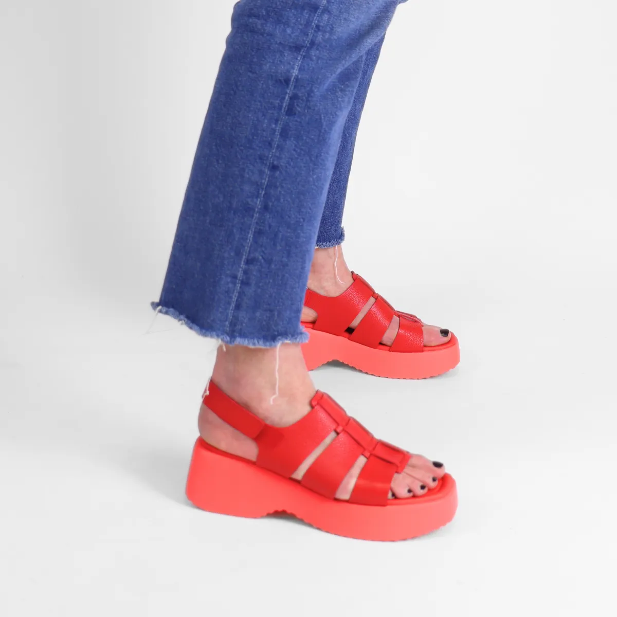 Wild Rojo