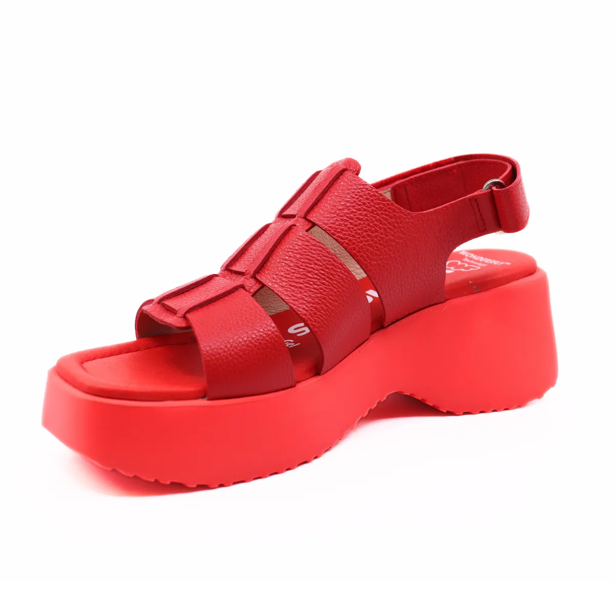 Wild Rojo