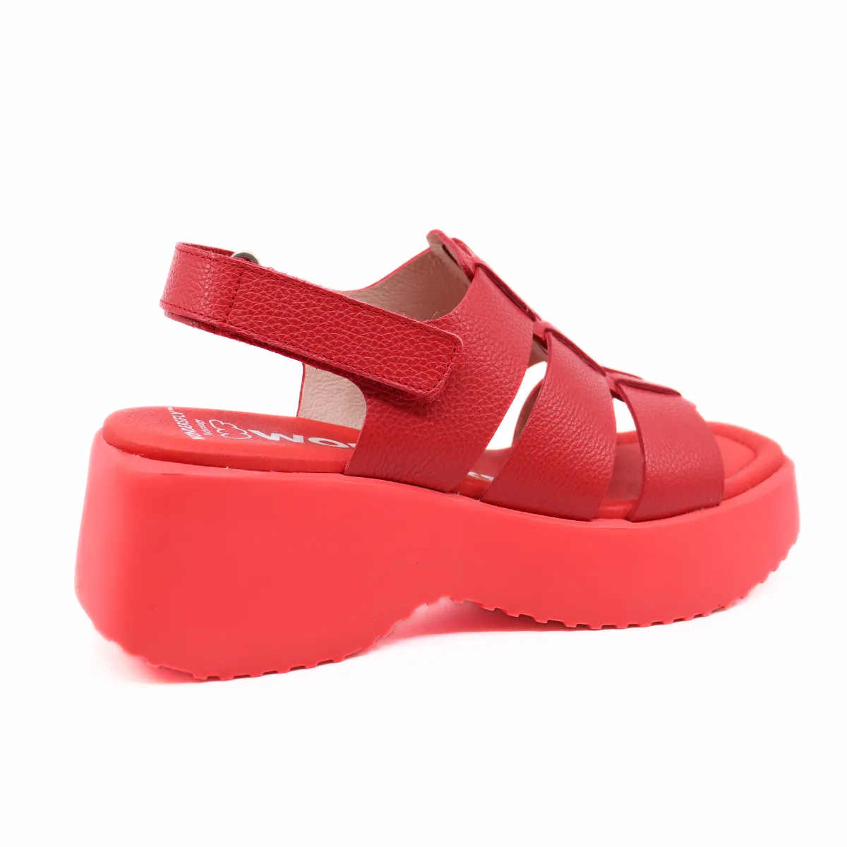 Wild Rojo
