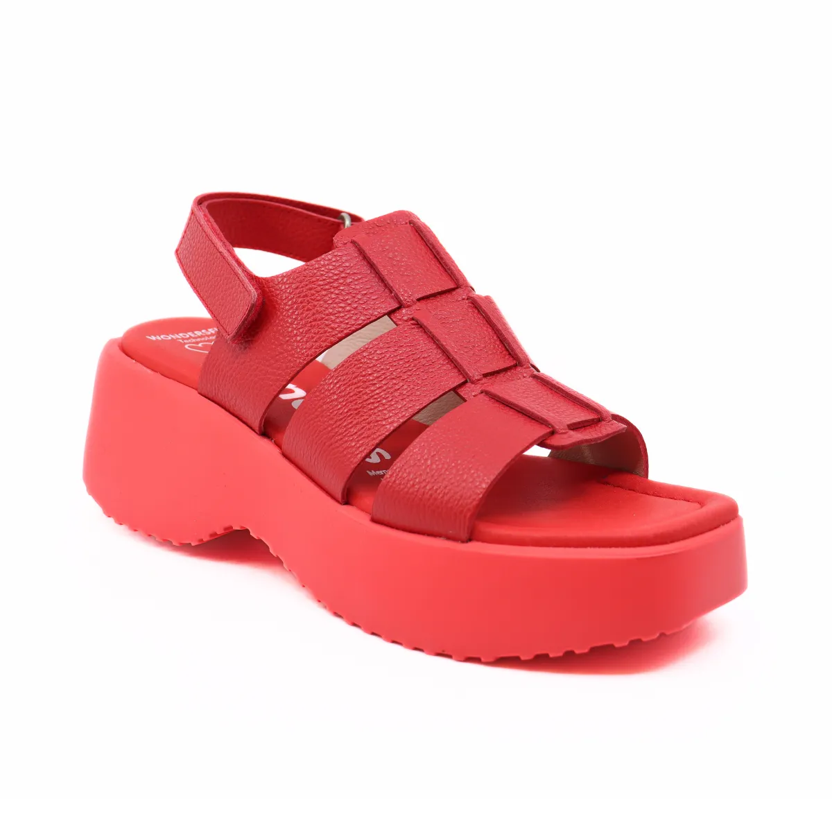 Wild Rojo