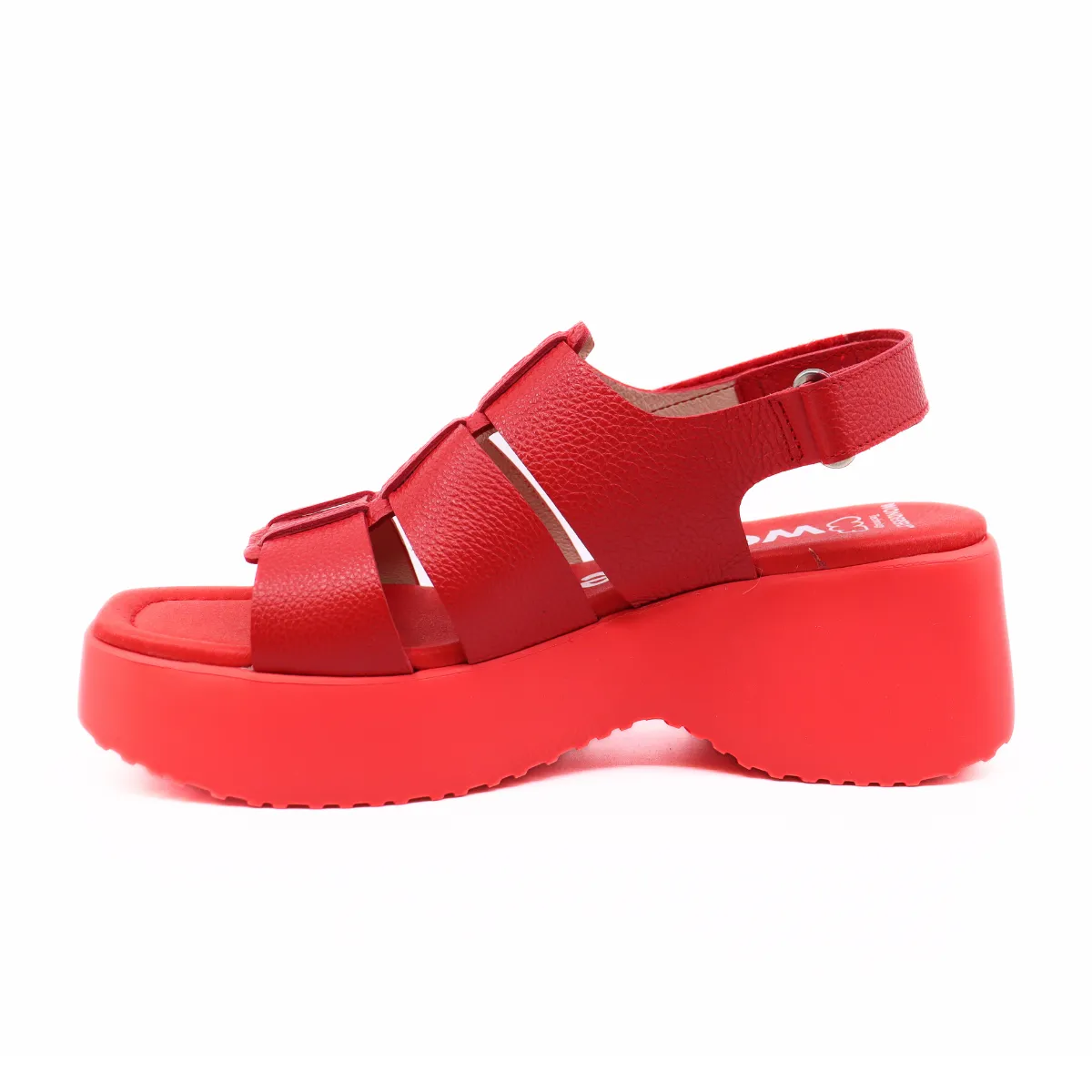 Wild Rojo