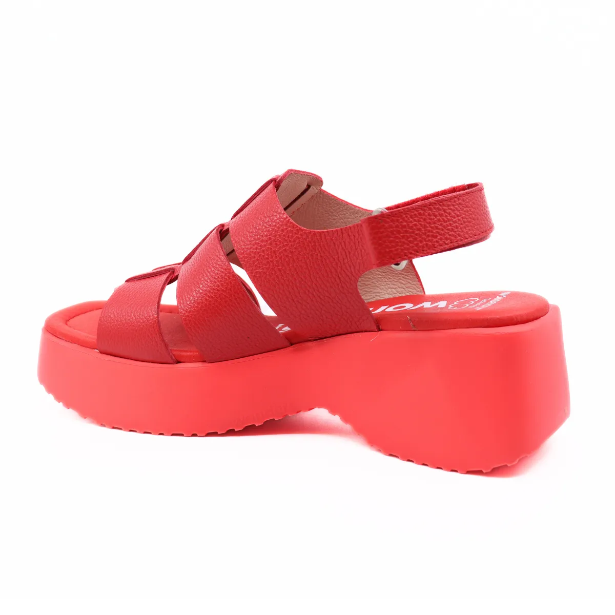 Wild Rojo