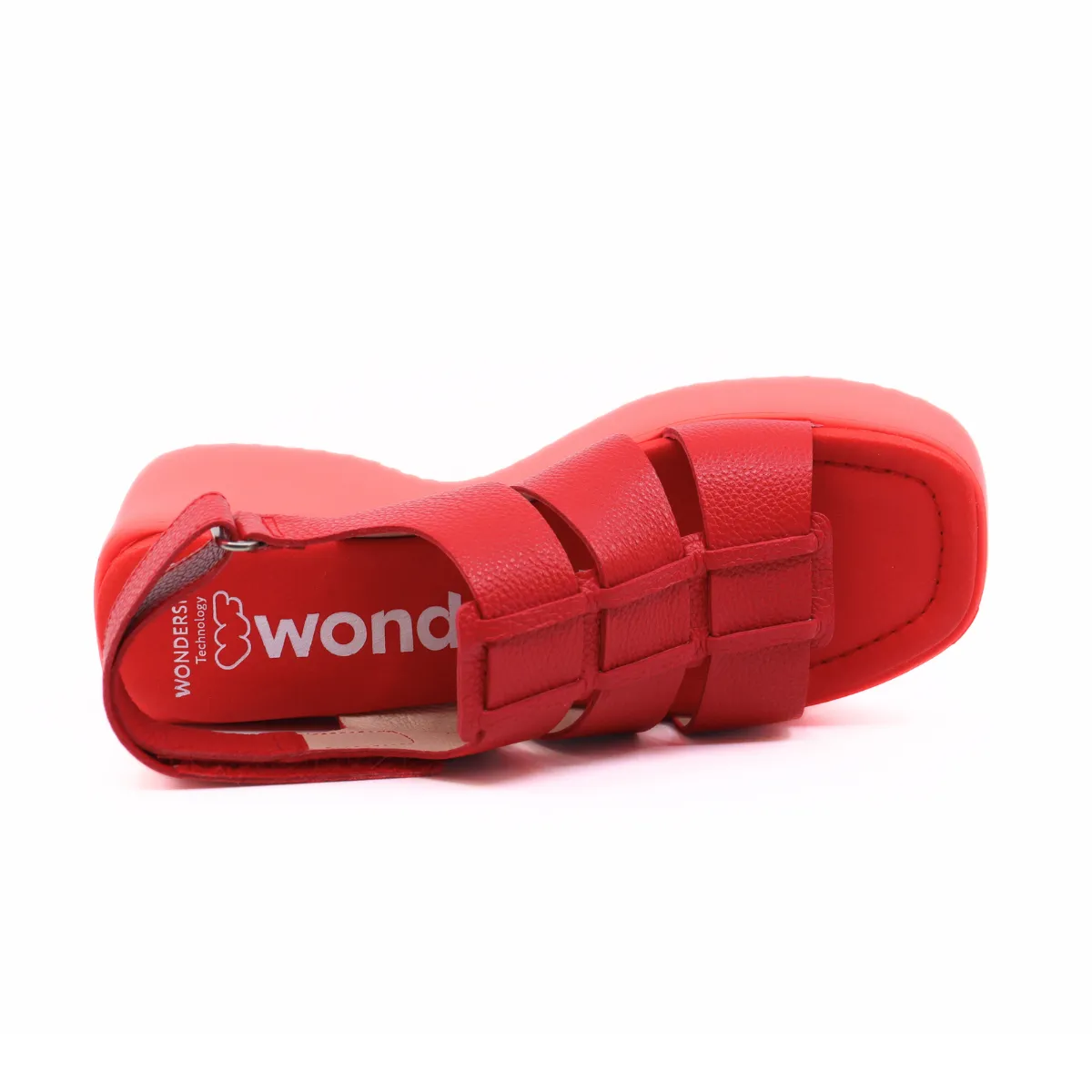 Wild Rojo