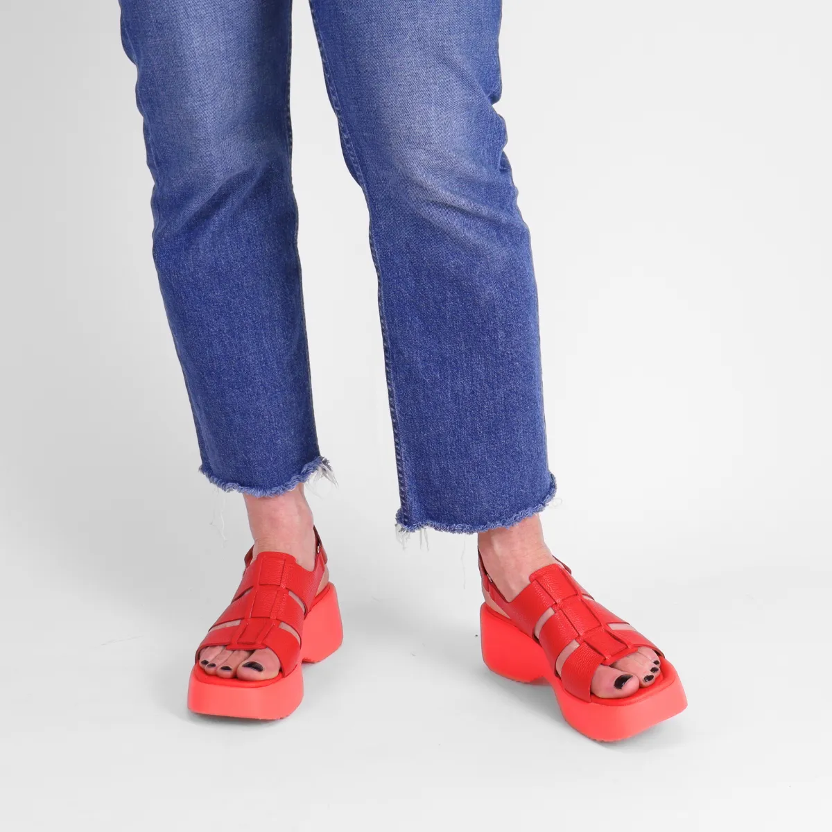 Wild Rojo